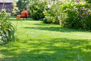 travaux jardin et paysage Plumieux